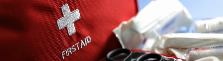 A first aid kit, its contents on display