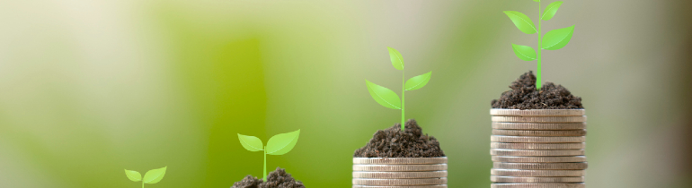 Image of pound coins stacked atop one another in four piles of ascending sizes, each with sprouting plants growing on top of them.